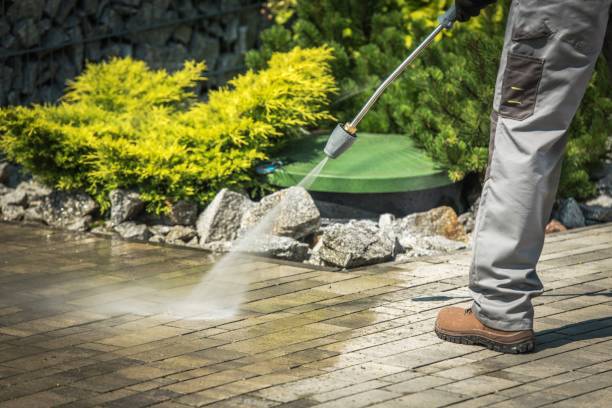 Best Soft Washing  in Umatilla, FL